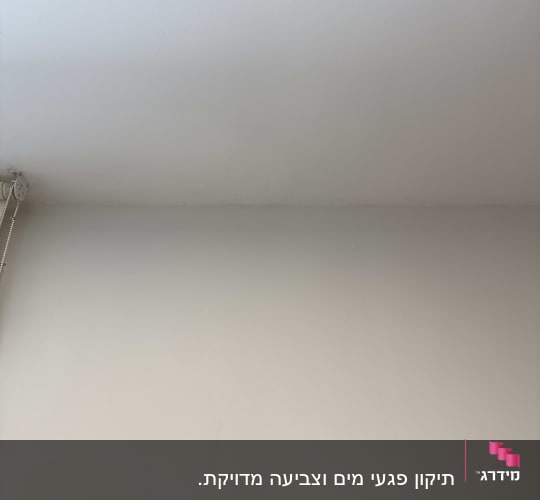 קיר ותקרה צבועים בצבע בהיר